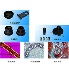 BI-24 雙目生物顯微鏡