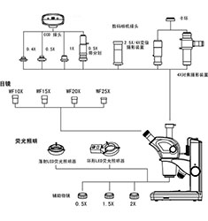 SMAS-17 體視顯微鏡圖像測(cè)量分析系統(tǒng)